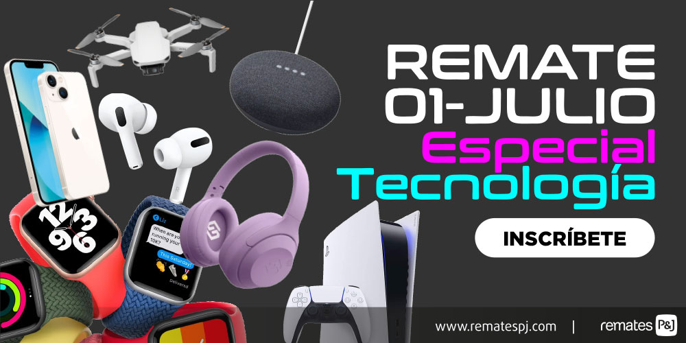 productos y lotes para remates online