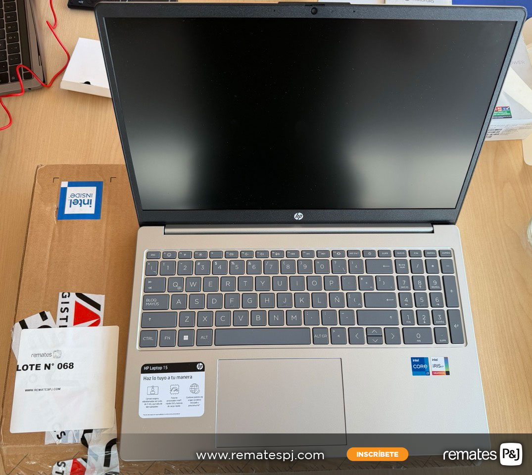 lotes de un remate online