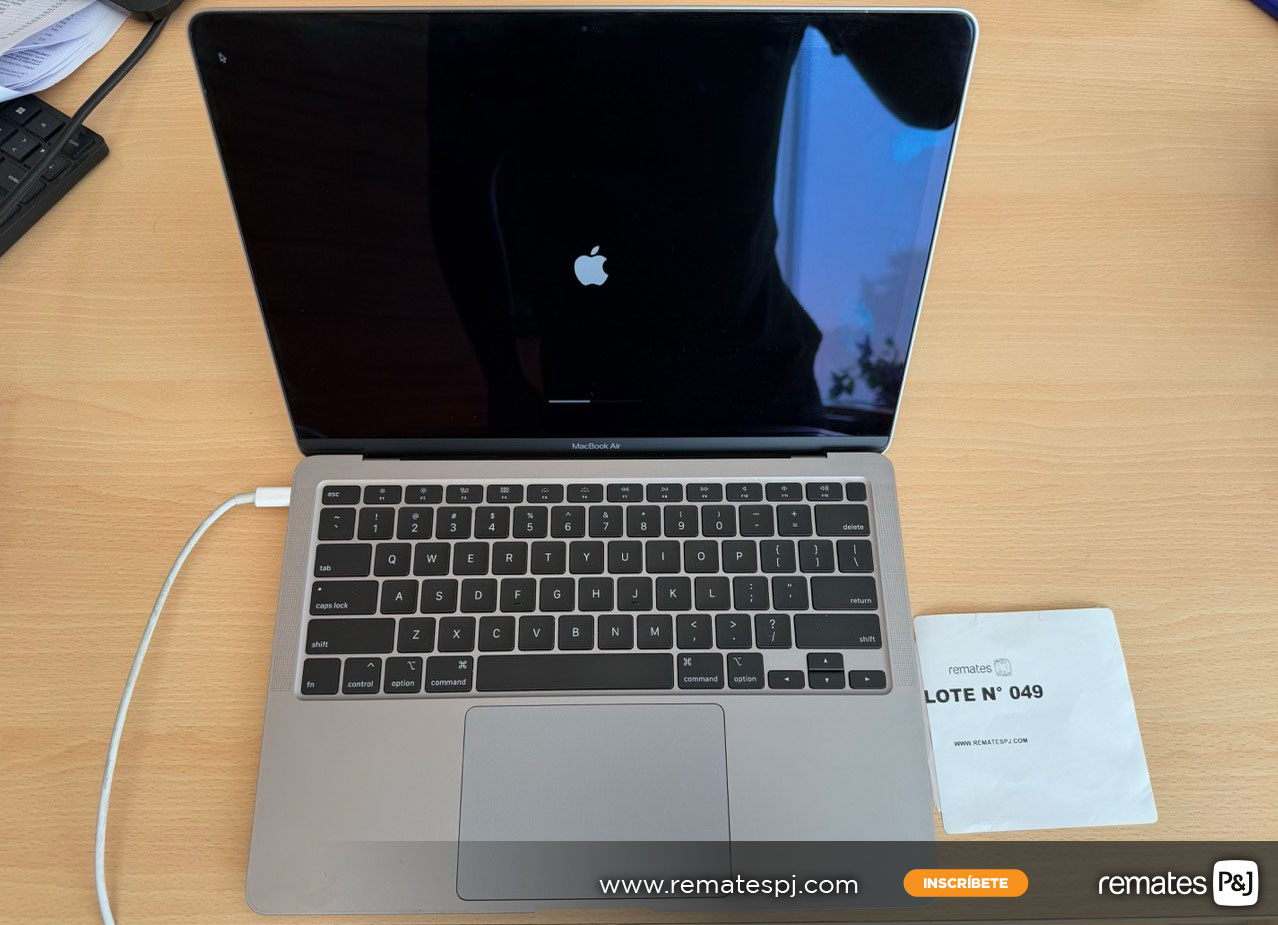 lotes de un remate online